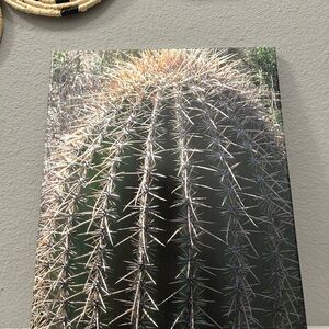 Cactus Canvas Wall Art